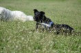 /album/fotogaleria/a12998231-1279631848730825-6187221232872188177-o-jpg/